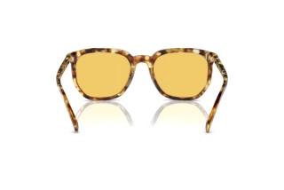 Vista posteriore Coach CL911 (HC8384U - 504585)