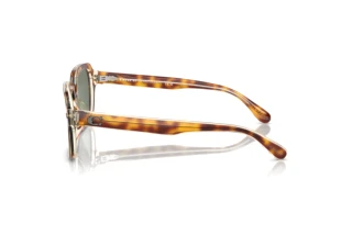 Vista laterale Coach CL914 (HC8388U - 57563H)