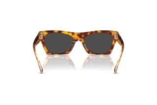 Vista posteriore Coach CL917 (HC8389U - 575687)