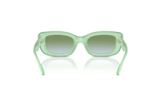 Vista posteriore Coach CR610 (HC8390U - 5807I7)