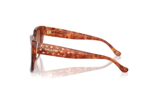 Vista laterale Coach CR611 (HC8392U - 577413)