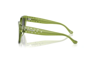 Vista laterale Coach CR611 (HC8392U - 581087)