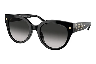 Coach HC8393U 50023C Grey GradientBlack