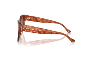 Vista laterale Coach CR612 (HC8393U - 577413)