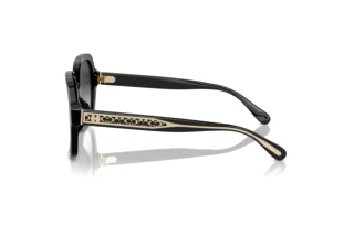 Vista laterale Coach CR614 (HC8395U - 50023C)