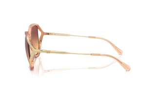 Vista laterale Coach CR620 (HC8396U - 556178)