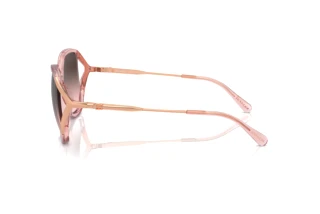 Vista laterale Coach CR620 (HC8396U - 566646)