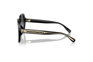 Vista laterale Coach CR615 (HC8404U - 50023C)