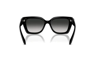 Vista posteriore Coach CW195 (HC8408U - 50023C)