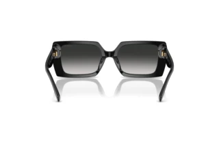 Vista posteriore Coach CW224 (HC8409U - 50023C)