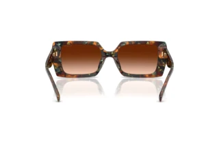 Vista posteriore Coach CW224 (HC8409U - 584474)