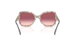 Vista posteriore Coach CW225 (HC8410U - 58957W)