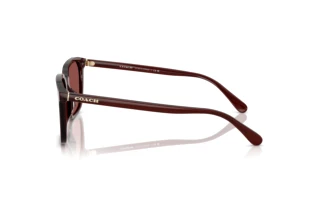 Vista laterale Coach CW405 (HC8411U - 585075)