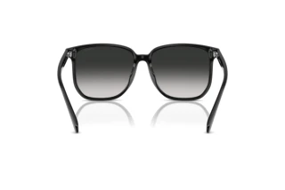 Vista posteriore Coach CW419 (HC8413BD - 50023C)