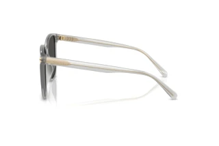 Vista laterale Coach CW419 (HC8413BD - 561487)