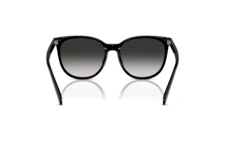 Vista posteriore Coach CW428 (HC8414BD - 50023C)