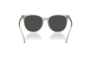 Vista posteriore Coach CW428 (HC8414BD - 561487)