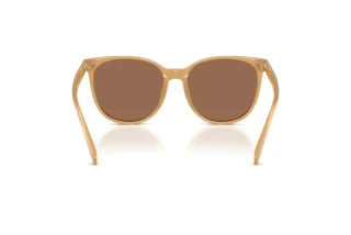 Vista posteriore Coach CW428 (HC8414BD - 585473)