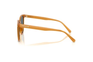 Vista laterale Coach CW428 (HC8414BD - 585580)