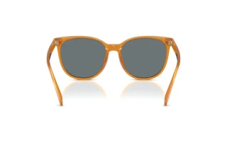 Vista posteriore Coach CW428 (HC8414BD - 585580)