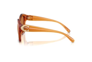 Vista laterale Coach CAD31 (HC8421U - 564773)