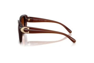 Vista laterale Coach CAD33 (HC8422U - 584174)