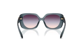 Vista posteriore Coach CAD33 (HC8422U - 5871U7)