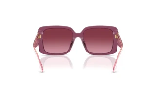 Vista posteriore Coach CAD54 (HC8424U - 59548H)