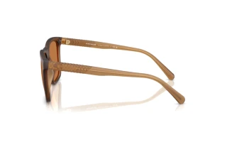 Vista laterale Coach CAE78 (HC8427U - 587673)