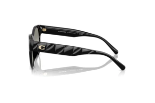 Vista laterale Coach CAE87 (HC8430D - 50023C)