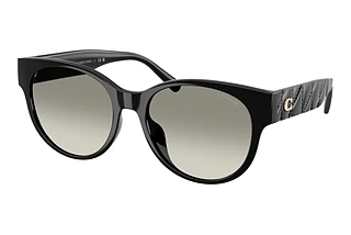 Coach HC8430D 50023C Grey GradientBlack