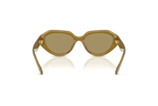 Vista posteriore Coach CBY77 (HC8433U - 590230)