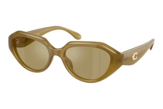 Vista frontale Coach CBY77 (HC8433U - 590230)