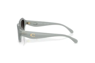 Vista laterale Coach CBY77 (HC8433U - 5905T3)