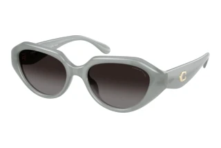 Vista frontale Coach CBY77 (HC8433U - 5905T3)