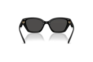 Vista posteriore Coach CBY91 (HC8434U - 500287)