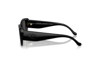 Vista laterale Coach CBY82 (HC8435U - 500287)