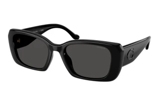 Vista frontale Coach CBY82 (HC8435U - 500287)