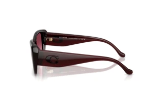 Vista laterale Coach CBY82 (HC8435U - 59158H)