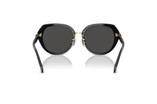 Vista posteriore Coach CBY93 (HC8436 - 500287)