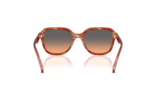 Vista posteriore Coach CBY87 (HC8437U - 590018)