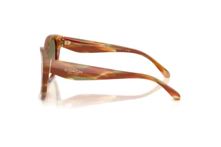 Vista laterale Coach CBY94 (HC8438U - 5898L0)