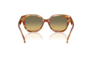 Vista posteriore Coach CBY94 (HC8438U - 5898L0)