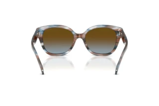 Vista posteriore Coach CBY94 (HC8438U - 589913)