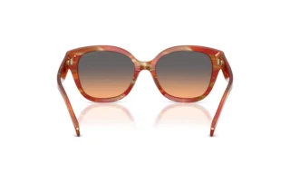 Vista posteriore Coach CBY94 (HC8438U - 590018)