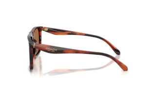 Vista laterale Coach CBY95 (HC8440U - 5906/O)