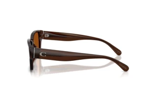 Vista laterale Coach CBY96 (HC8441U - 591173)