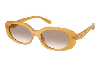 Vista frontale Coach CBY84 (HC8443D - 591313)