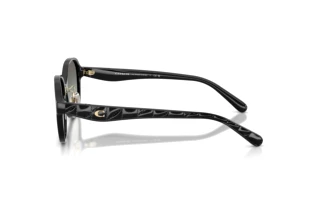 Vista laterale Coach CBY85 (HC8445D - 500211)