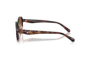 Vista laterale Coach CBY85 (HC8445D - 512013)